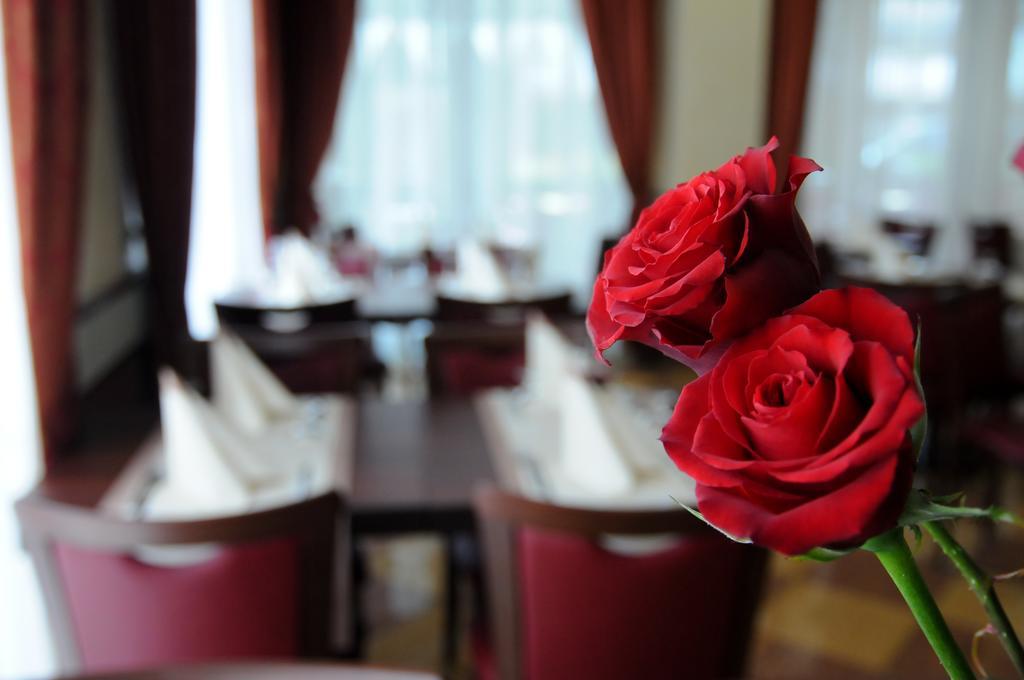 רימיני Hotel Dei Platani מראה חיצוני תמונה